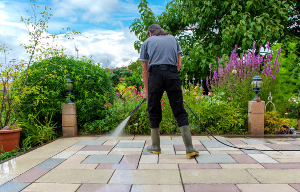 Best Parking Lot Cleaning in Albert Lea, MN