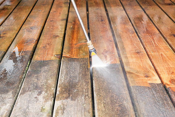 Best Fence Cleaning and Maintenance in Albert Lea, MN